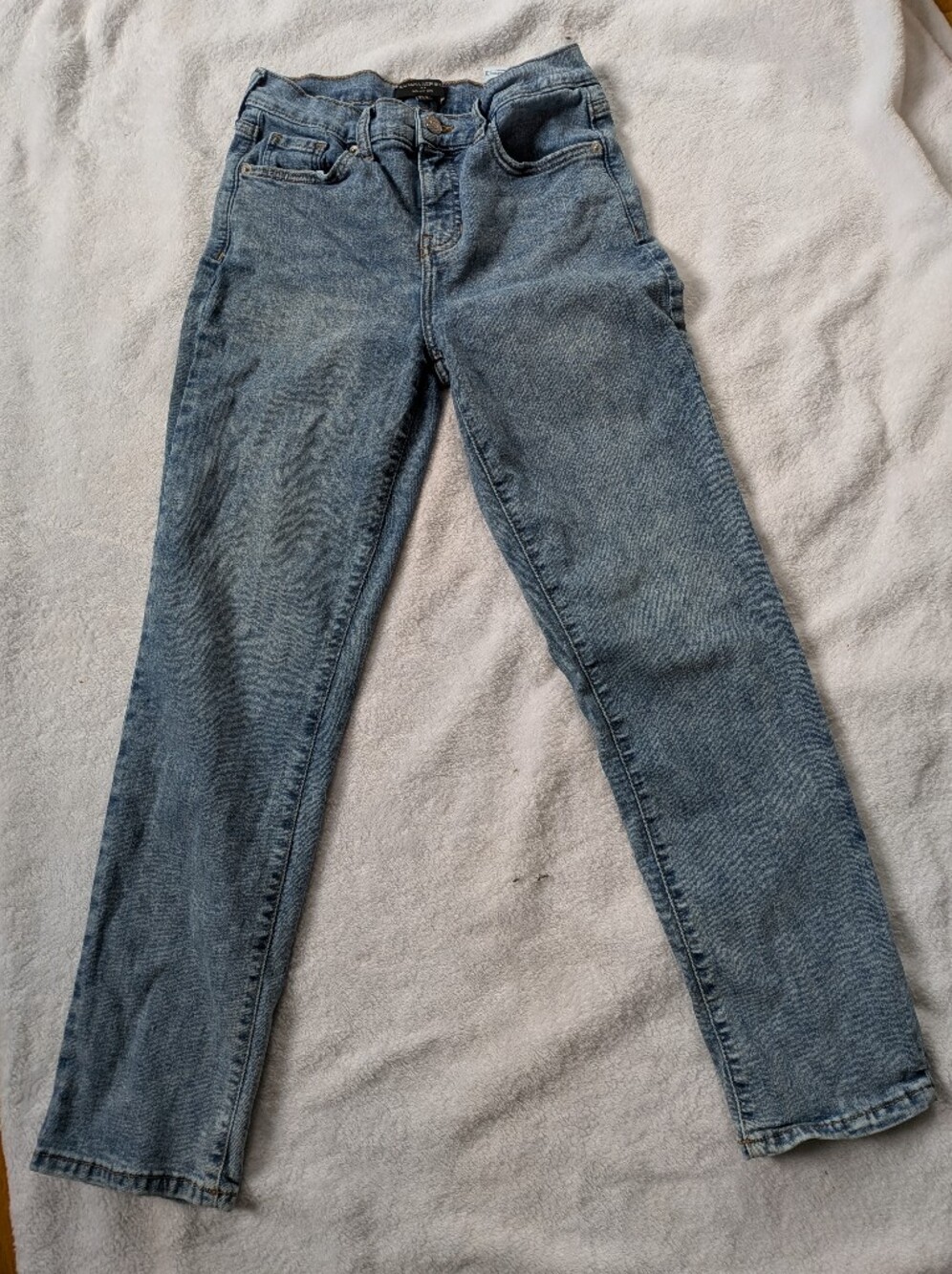 Banana Republic Women's Straight Leg Mom Jean